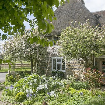 Tudor Cottage B&B Frampton Дорчестър Екстериор снимка