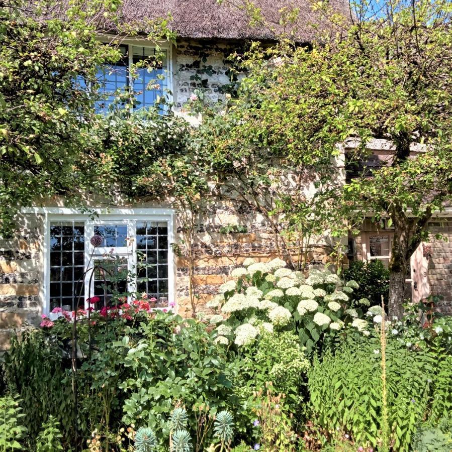 Tudor Cottage B&B Frampton Дорчестър Екстериор снимка