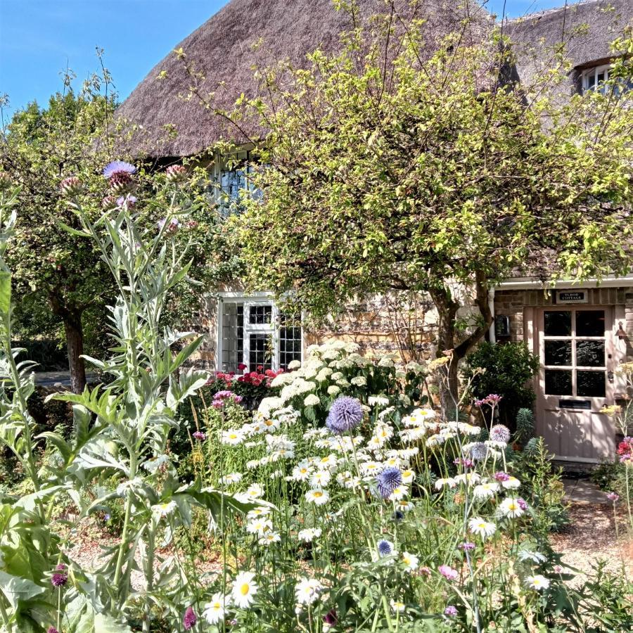 Tudor Cottage B&B Frampton Дорчестър Екстериор снимка
