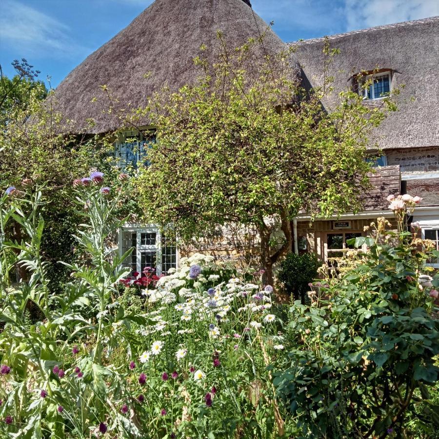 Tudor Cottage B&B Frampton Дорчестър Екстериор снимка