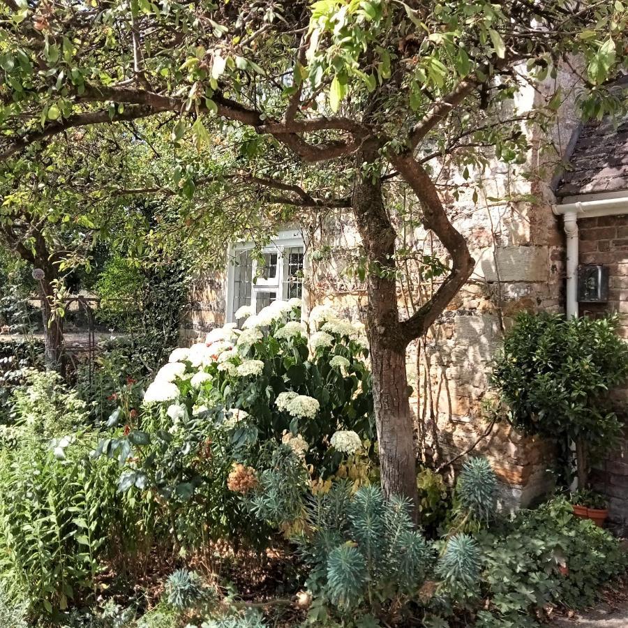 Tudor Cottage B&B Frampton Дорчестър Екстериор снимка