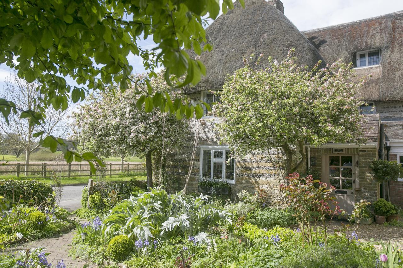 Tudor Cottage B&B Frampton Дорчестър Екстериор снимка